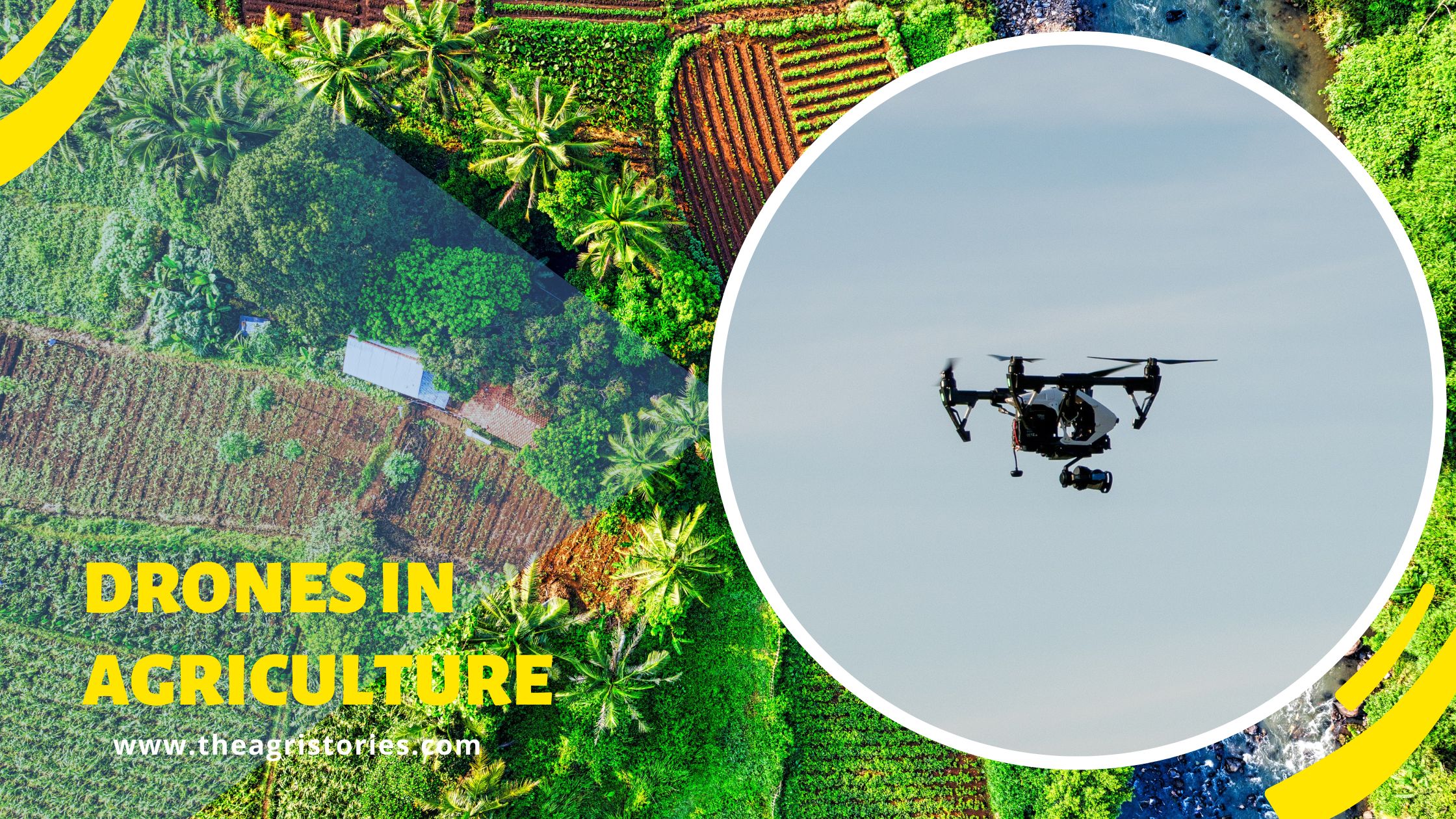 drones in agriculture