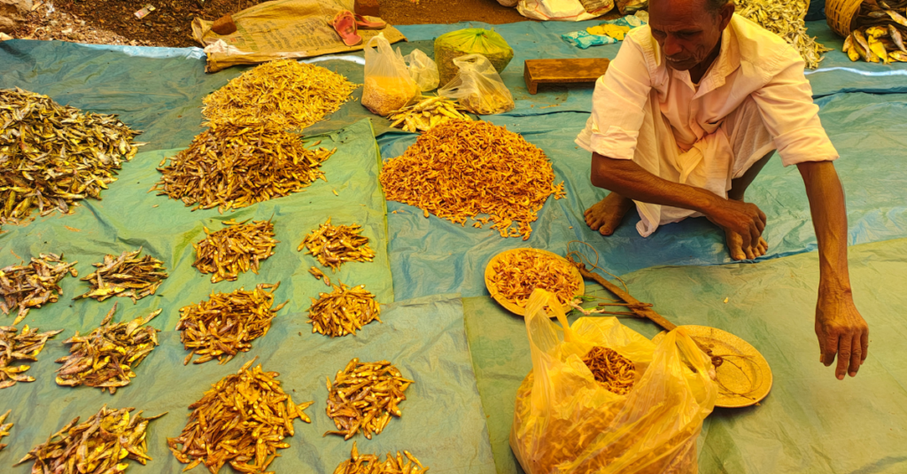 Dry fish market