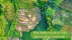 Why India Needs to Take Agroecology Seriously: A Policy Call from the Ground