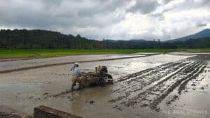 Climate Change to Climate Resilience: A Community-Driven Model by the Hume Centre in Wayanad